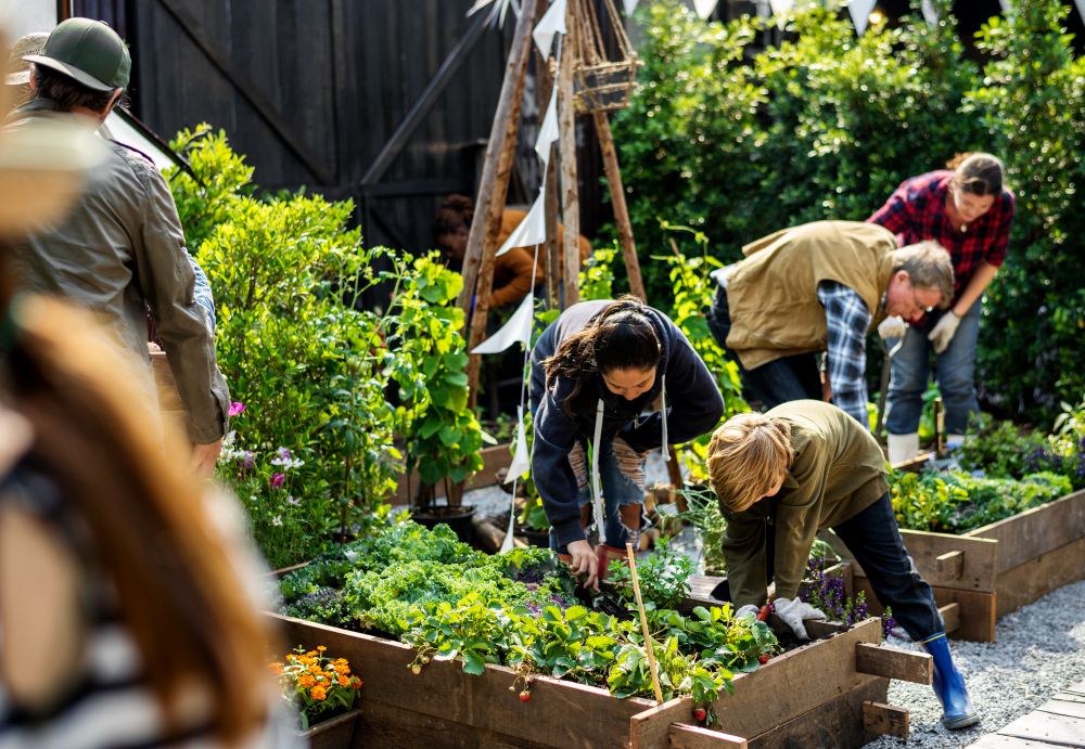 people in garden